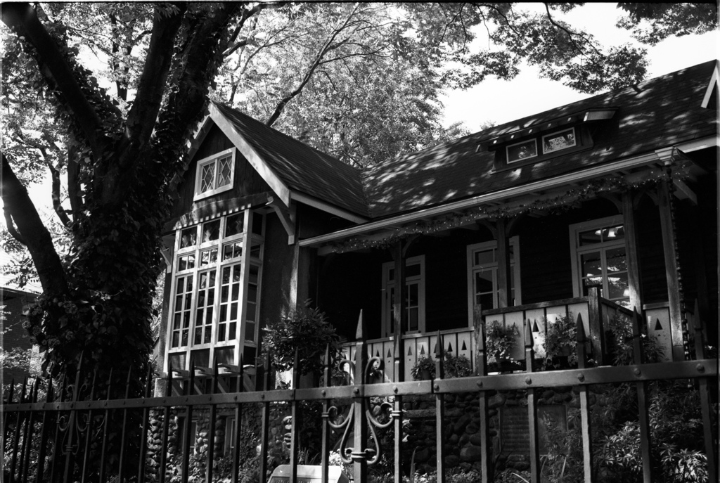 Holiday in Hibiya #3