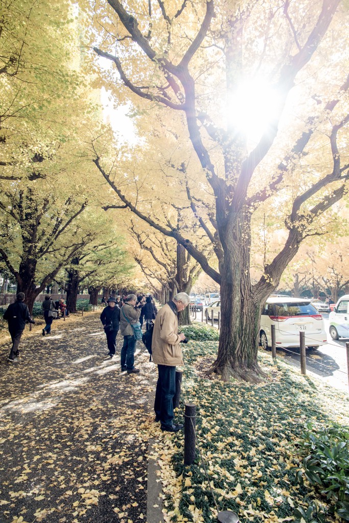 Autumn People #2