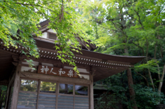 色づく前に
