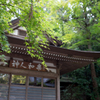 色づく前に