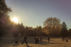 people in the park