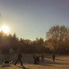 people in the park