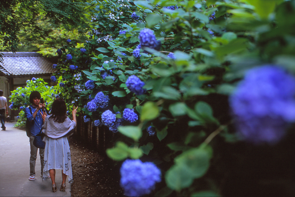 love in blue #1