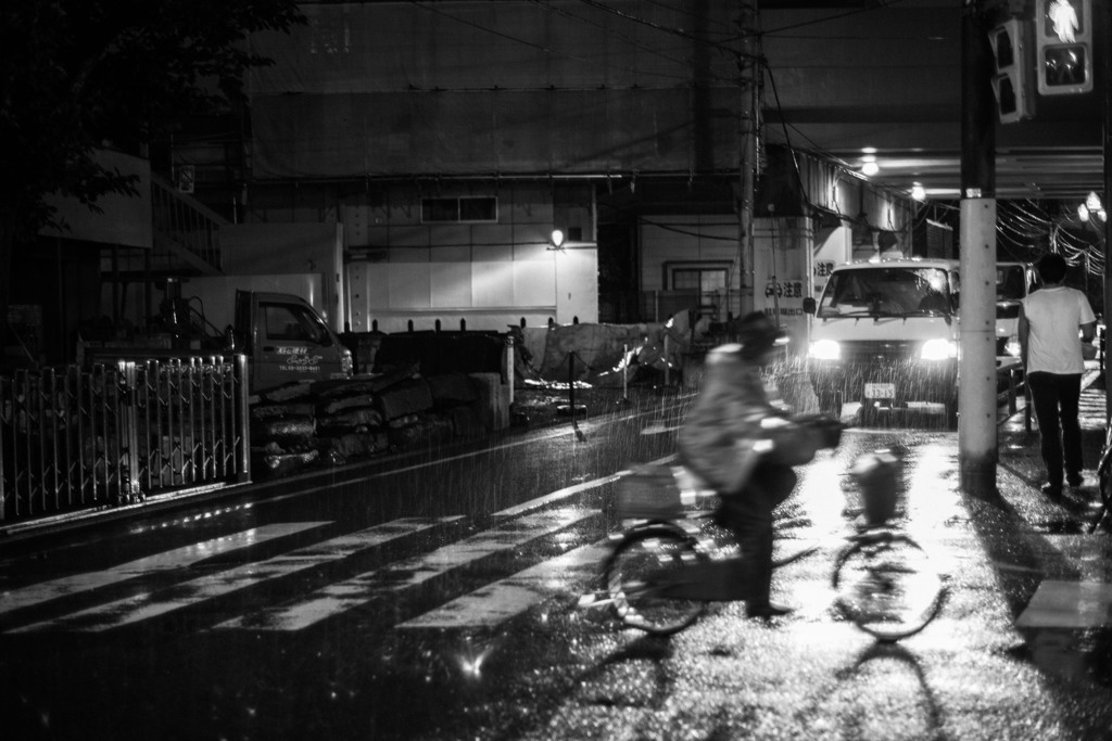 Shadows in Rain #4