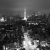 Tokyo Lights and Shadows