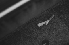 抜け殻