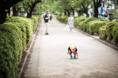 a Life in Kamakura #4