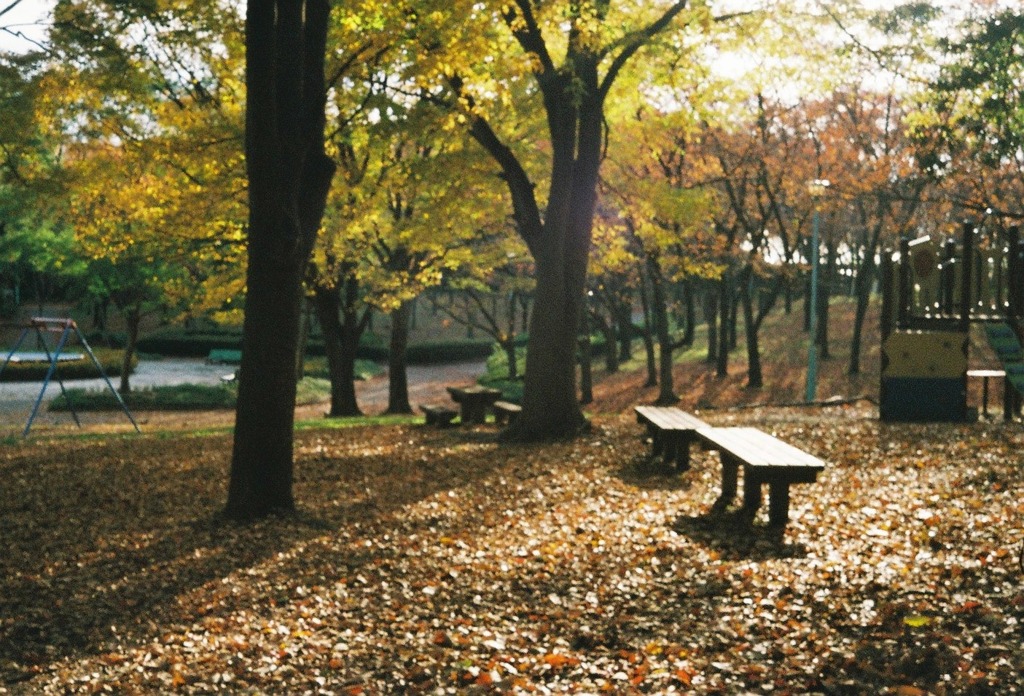 公園
