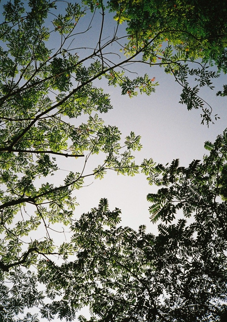 秋空