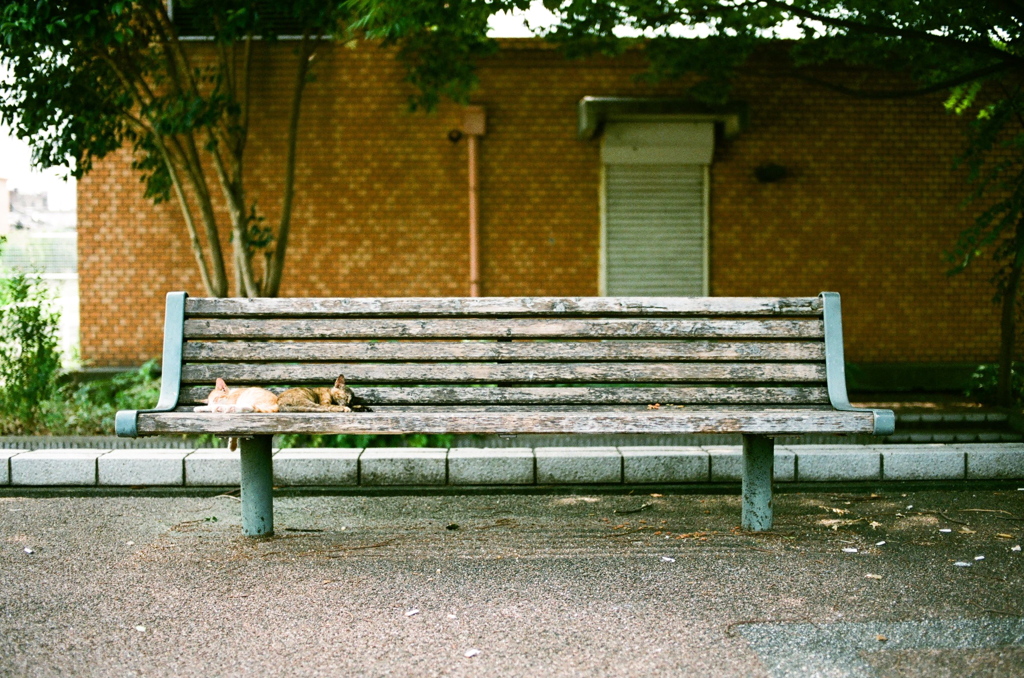 photo-13