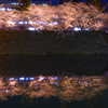 Reflection