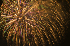 Fireworks | 福井フェニックス花火