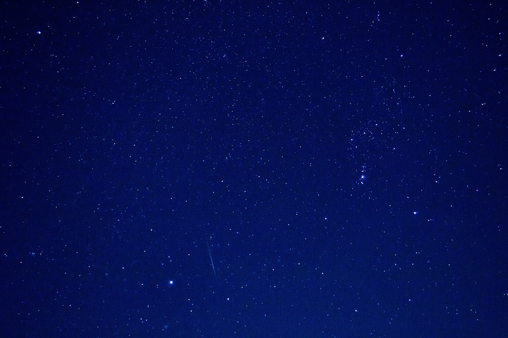 Wish on a star [December 14, 2012]