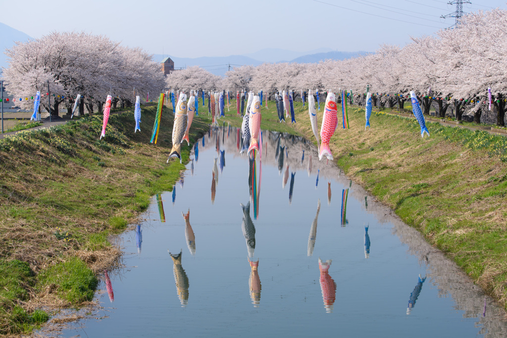 Swim in spring