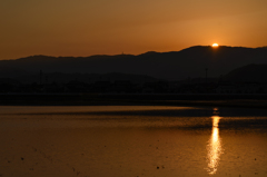 Sunset in paddy field