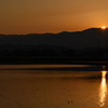 Sunset in paddy field