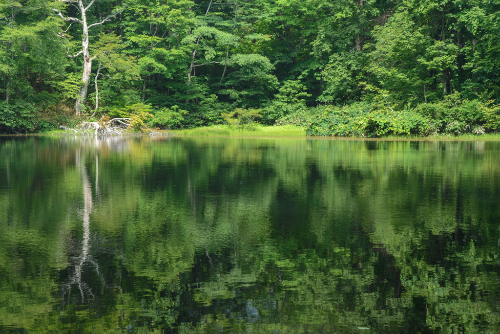 Reflection