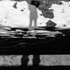 Self Portrait