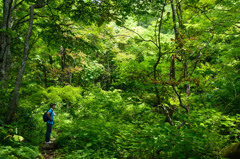 A man in the forest