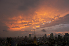 Tokyo tower