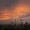 Tokyo tower