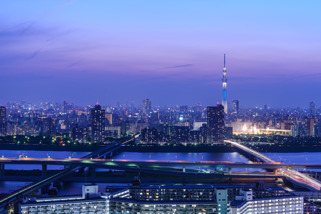 Tokyo 7:19 pm