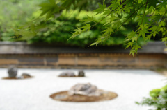 Fresh green | The Rock Garden,Kyoto