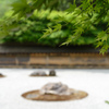 Fresh green | The Rock Garden,Kyoto
