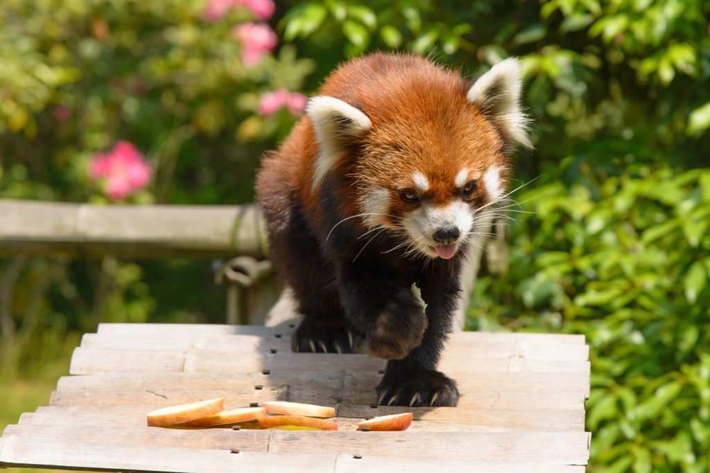 Lunchtime