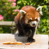 Lunchtime