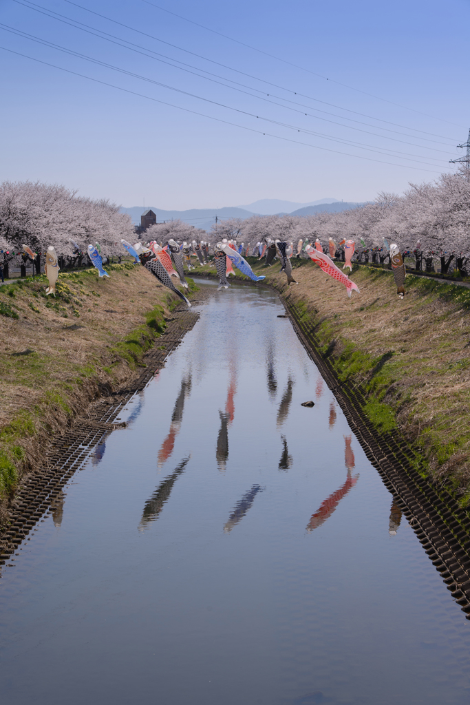 Swim in the spring
