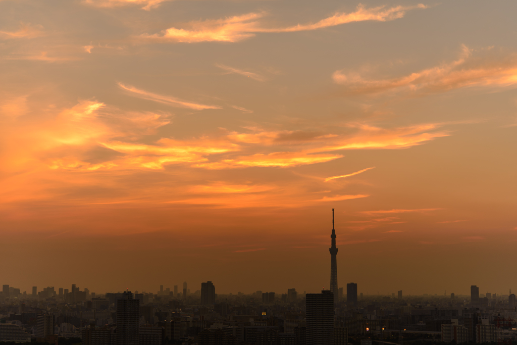 Tokyo 6:42 pm
