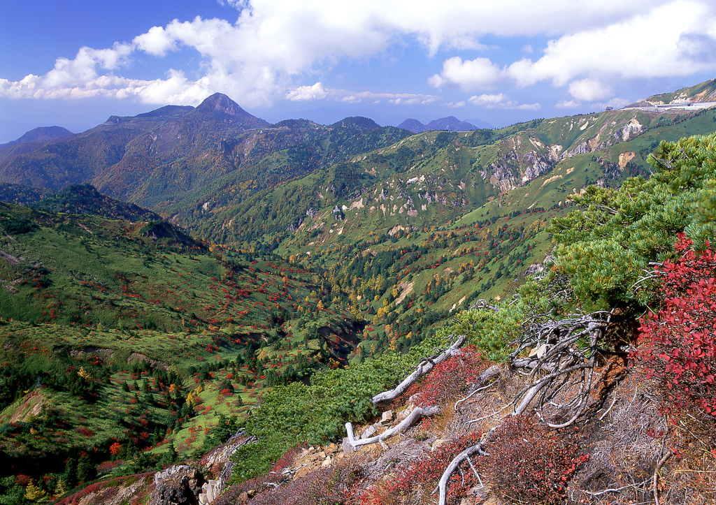 志賀草津道路 11