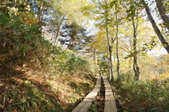 鳩待峠への最後の登り！