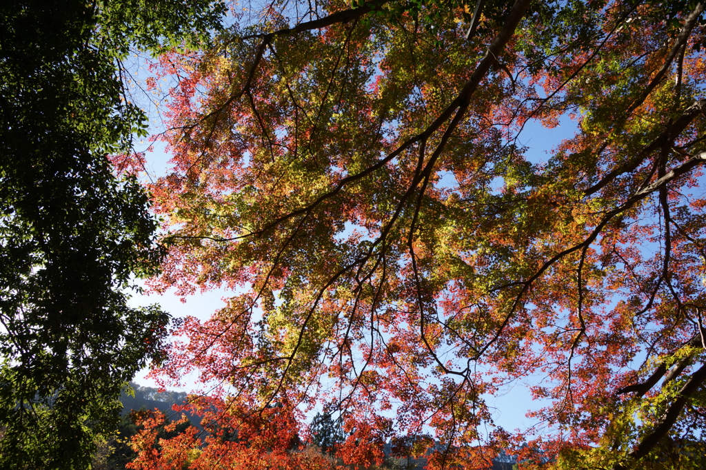 DSC03947
