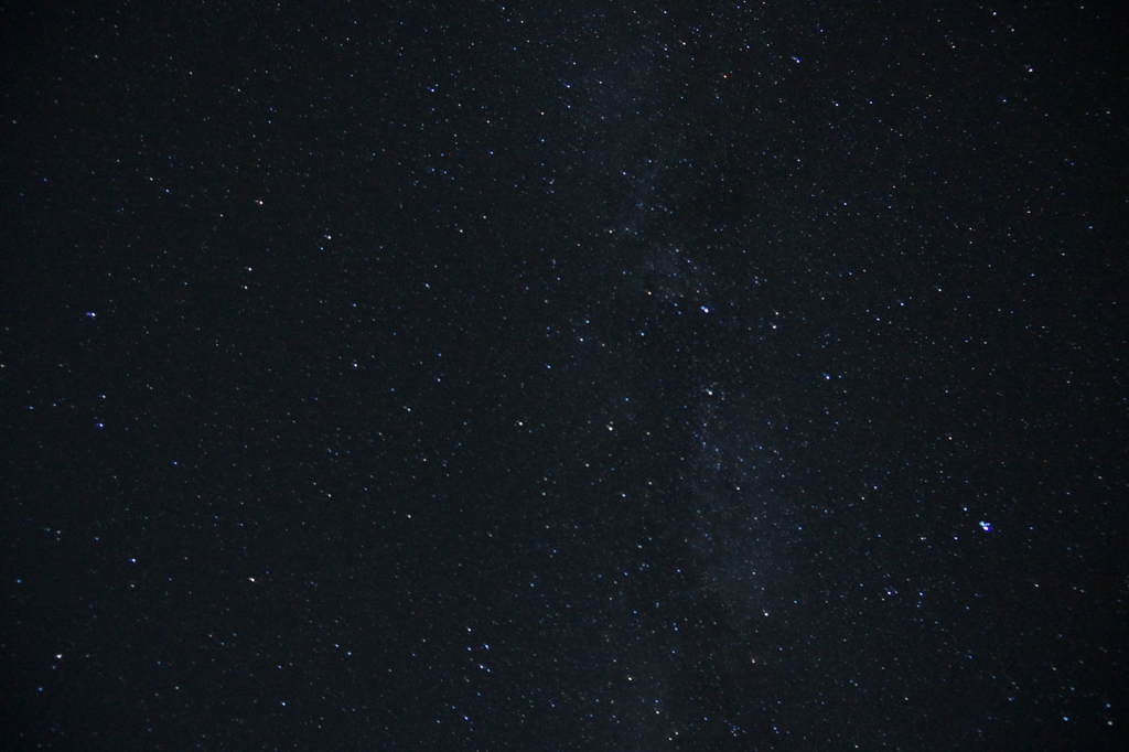 DSC03891