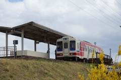 陸中野田駅にて