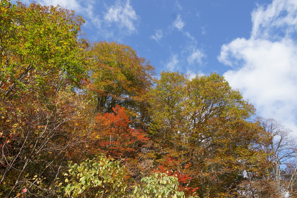 山の鼻付近