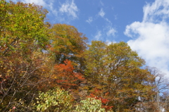 山の鼻付近