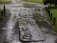 雨の小石川後楽園にて(5)