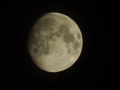 E-M5＋300mmを縦横1/3の中央部分をトリミング