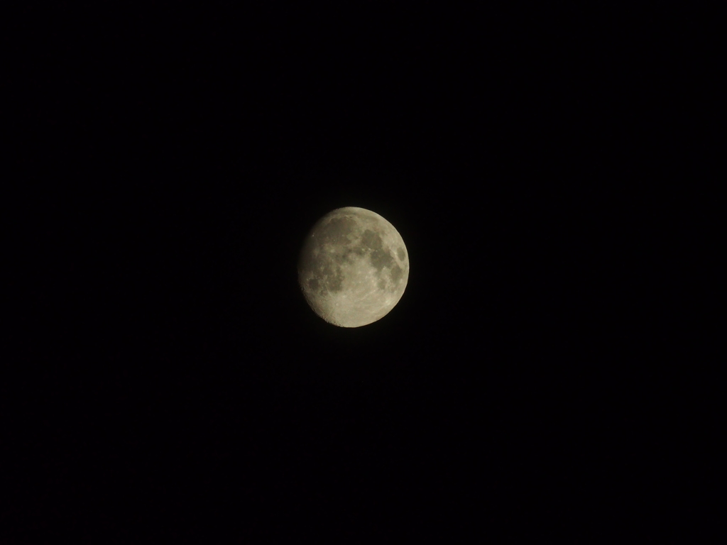 E-M5＋300mmトリミングなし