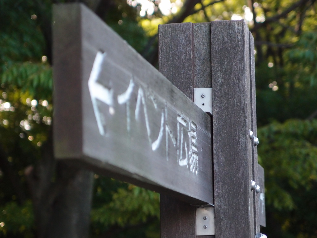 XZ-1単体望遠端で近づいた場合
