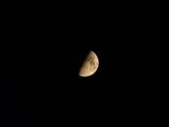 2013/09/13の月