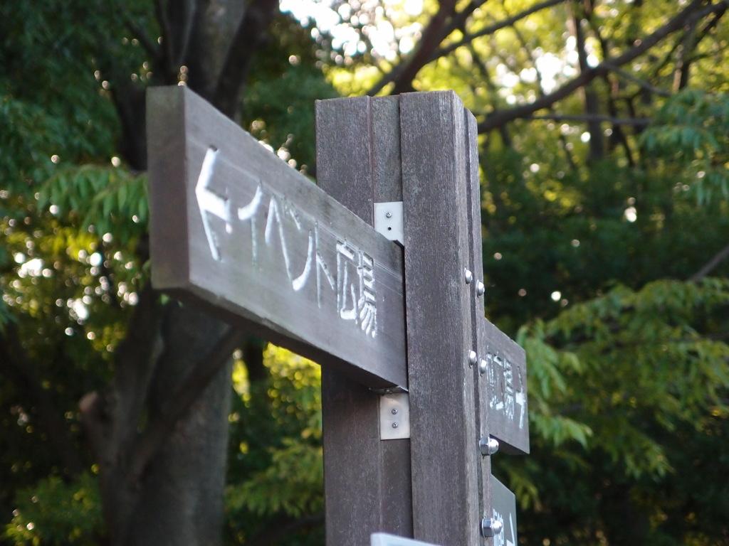 XZ-1単体望遠端サンプル