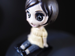 ミスごえもんシューカバー(F1.8)