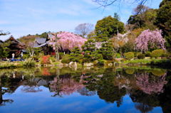 法金剛院