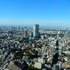 (旅の思い出) 東京タワーからの眺め