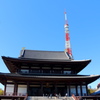 (旅の思い出) 増上寺と東京タワー
