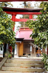 (レンズテスト) EF40mm f2.8で神社を撮ってみた☆